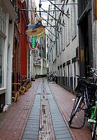 DSC 0195