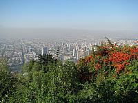 Picture 120