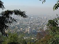 Picture 133