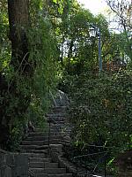 Picture 248