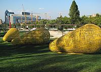 Picture 274