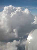 FLL 21