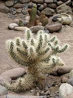 AZ025