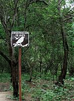 AZ107