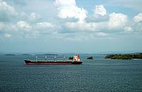 DSC 0101