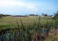 IMG 2060