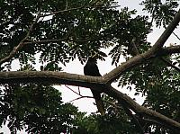 IMG 2087