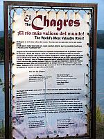 IMG 2118