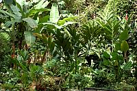 DSC 0006