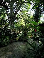IMG 2334