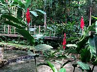 IMG 2335