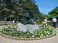 201107 1117