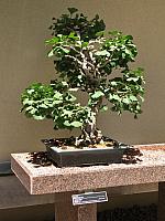 201107 1178