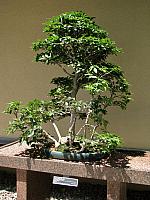 201107 1186