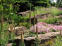 201107 1250
