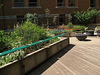 201107 1264