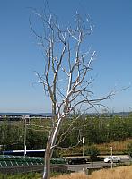 201108 327