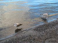 201109 029
