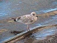 201109 030