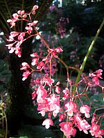 201109 405