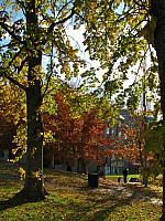 201111 018