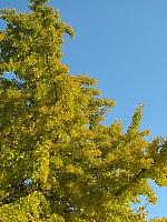 201111 028