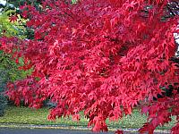201111 004
