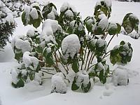 201202 005