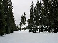 201202 019