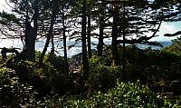 201203 043