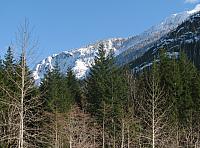 201203A 021