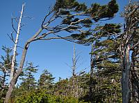 201203A 078