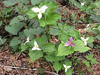 201204 005