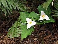 201204 009