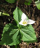 201204 013