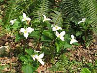 201204 015