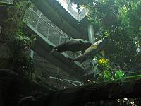 201205A2 1262