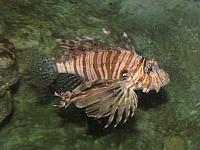 201205A2 1275