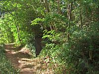 The surroundings