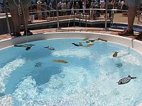 Fishing competition