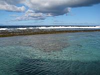 Inside the reef