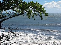 Ocean with surfers