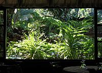 Restaurant garden...from inside