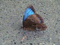 201206 027