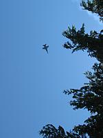 201208 Blue Angels 029