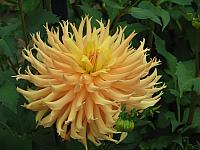 201208 005