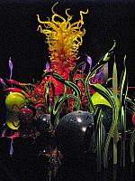 201209Seattle 091