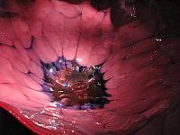 20120922 049