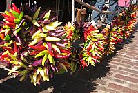 IMG 7062
