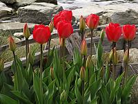 201304 023